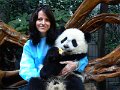 Pandas (005)